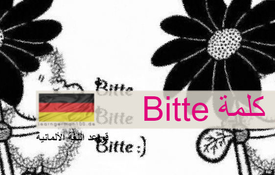 المعاني المتعددة لكلمة bitte